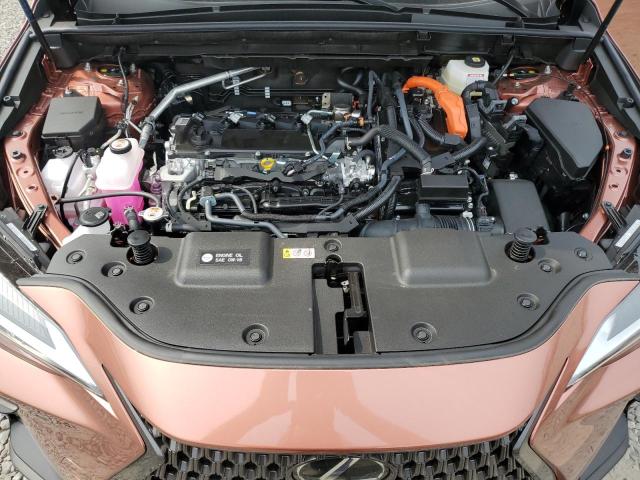 LEXUS NX 350H BASE 2025