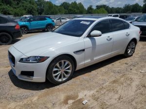 JAGUAR XF PREMIUM 2019