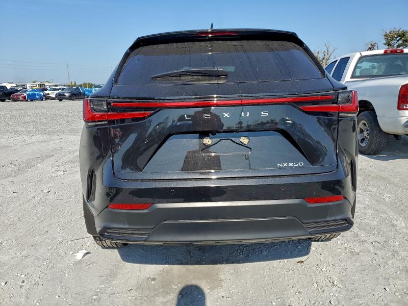 LEXUS NX 250 PREMIUM 2024