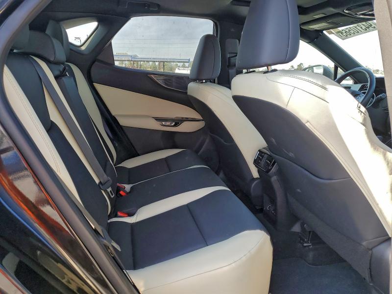 LEXUS NX 250 PREMIUM 2024