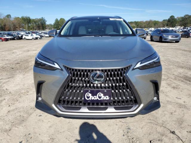 LEXUS NX 350 LUXURY 2024