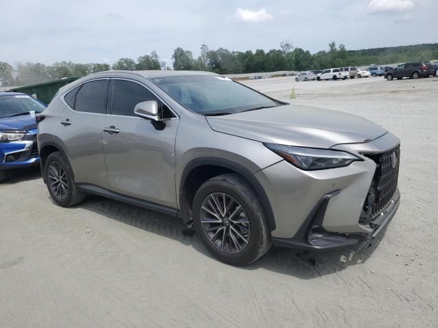 LEXUS NX 250 2022