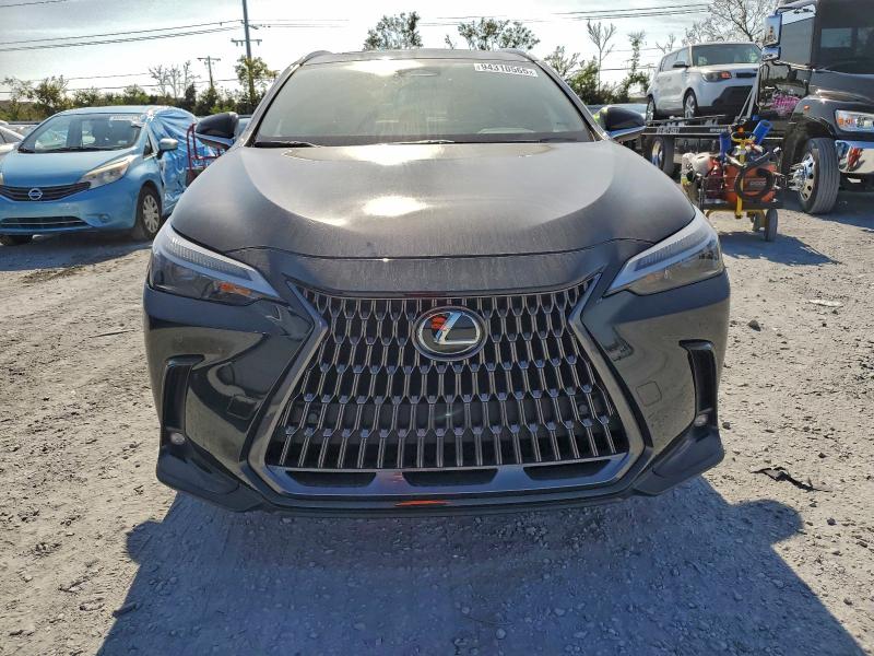 LEXUS NX 250 PREMIUM 2024