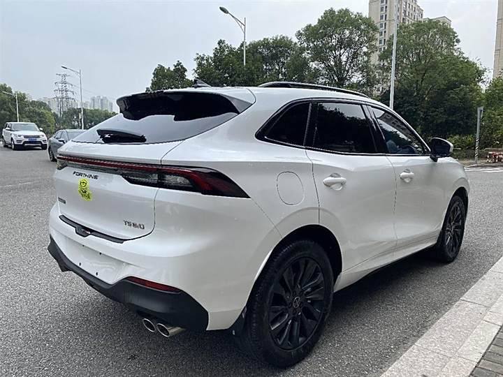 Fengxing T5 EVO 2021