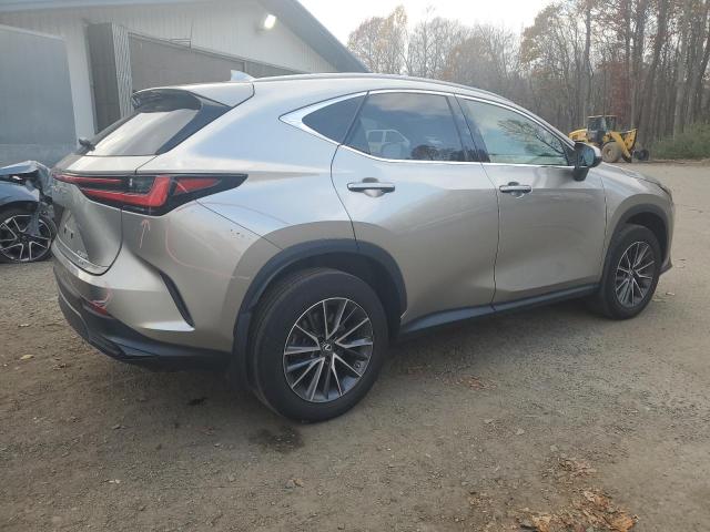 LEXUS NX 350 2022